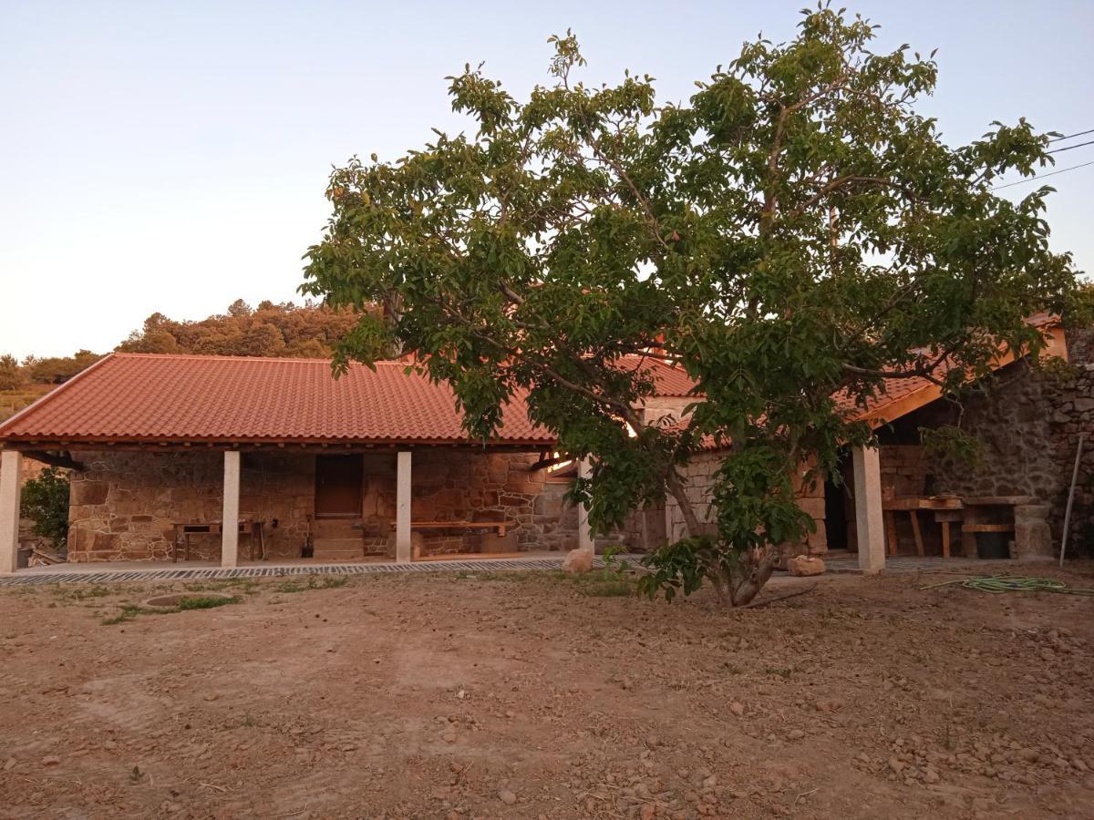 Quinta Do Passadico Villa Lamego Kültér fotó